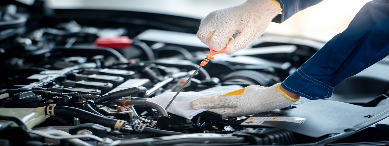 Oil change service - Check and refill